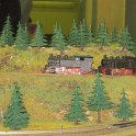 IMG_2854